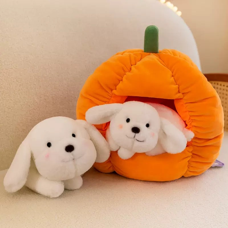 Cute Kitty and Puppy with Pumpkin